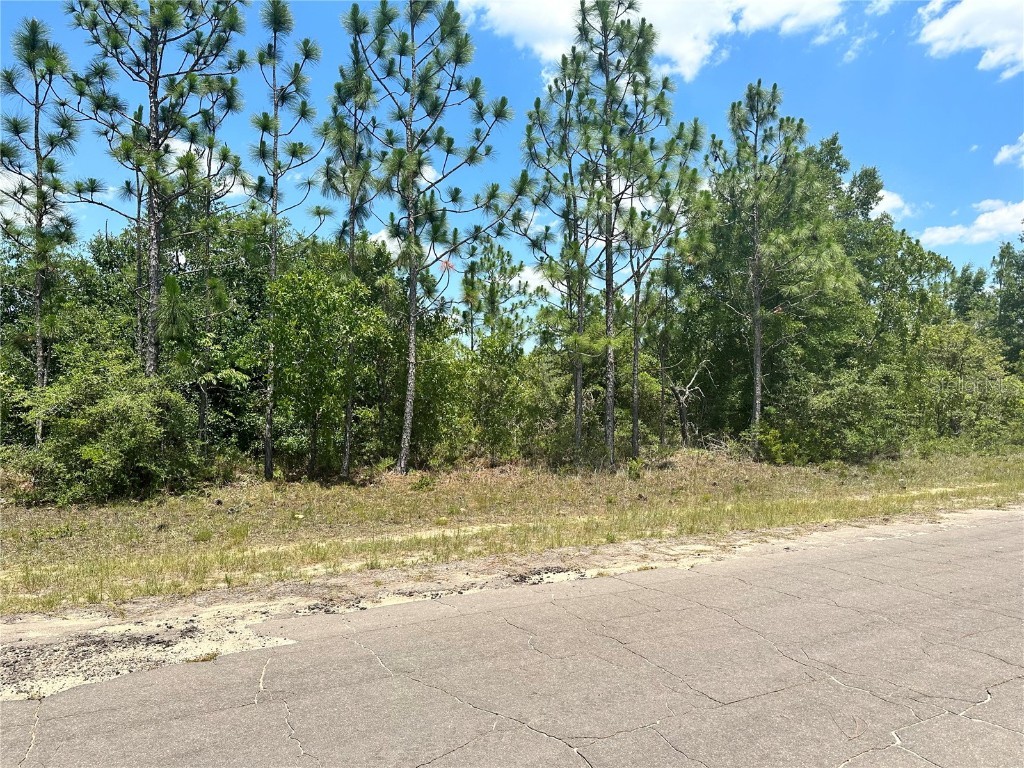 Cavalier Drive Chipley FL 32428 OM705954 image5