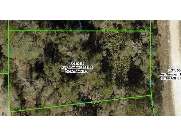 Cayman Road Weeki Wachee FL 34614 TB8515468 image2