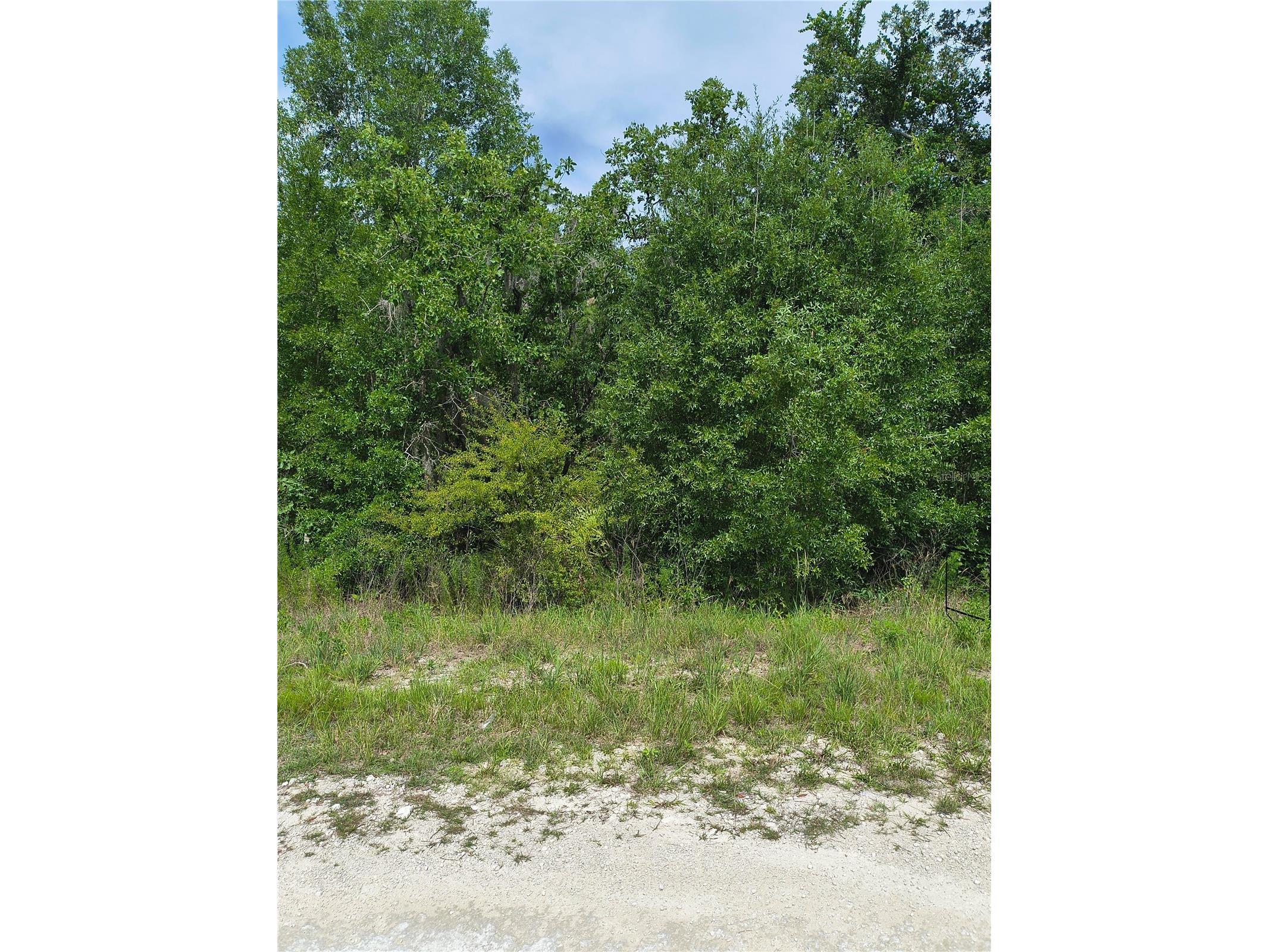 Cayman Road Weeki Wachee FL 34614 TB8515468 image4