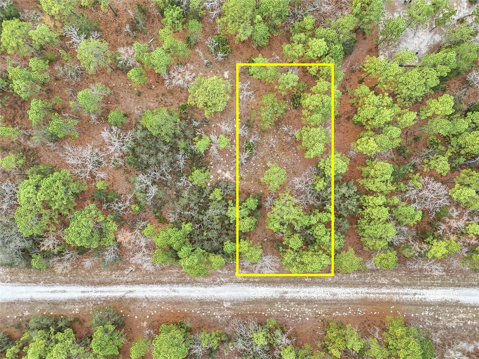 Cayman Road Weeki Wachee FL 34614 W7882892 image4