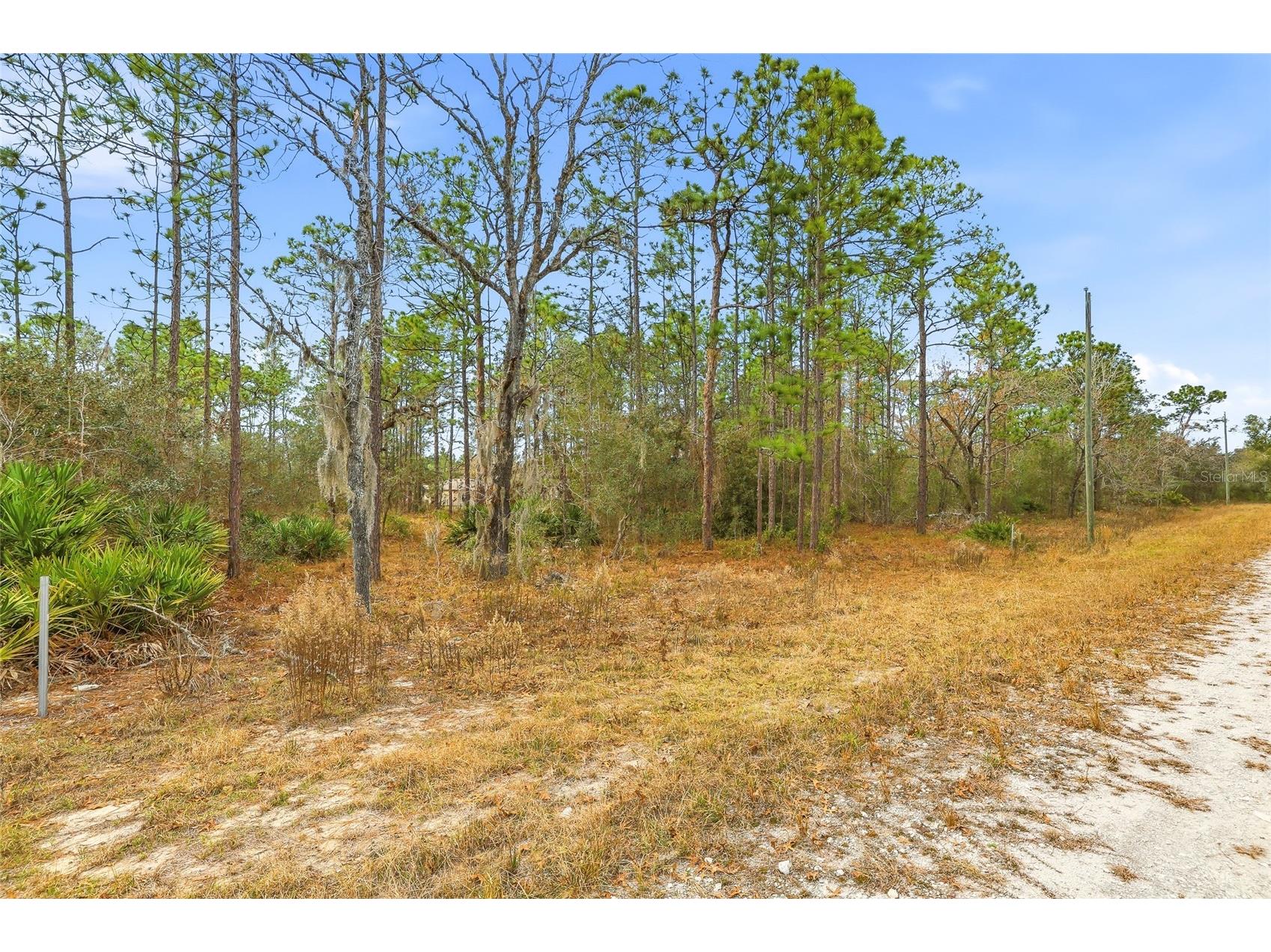 Cayman Road Weeki Wachee FL 34614 W7882892 image5