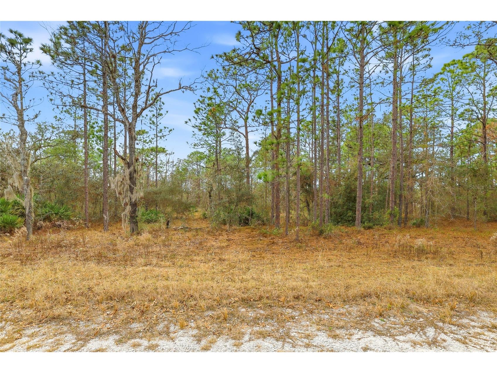 Cayman Road Weeki Wachee FL 34614 W7882892 image6