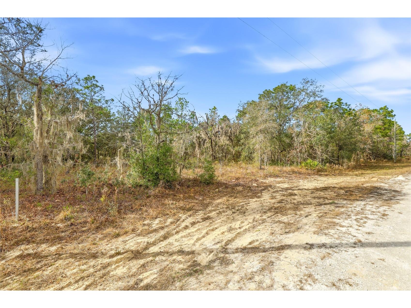 Cayman Road Weeki Wachee FL 34614 W7882949 image3