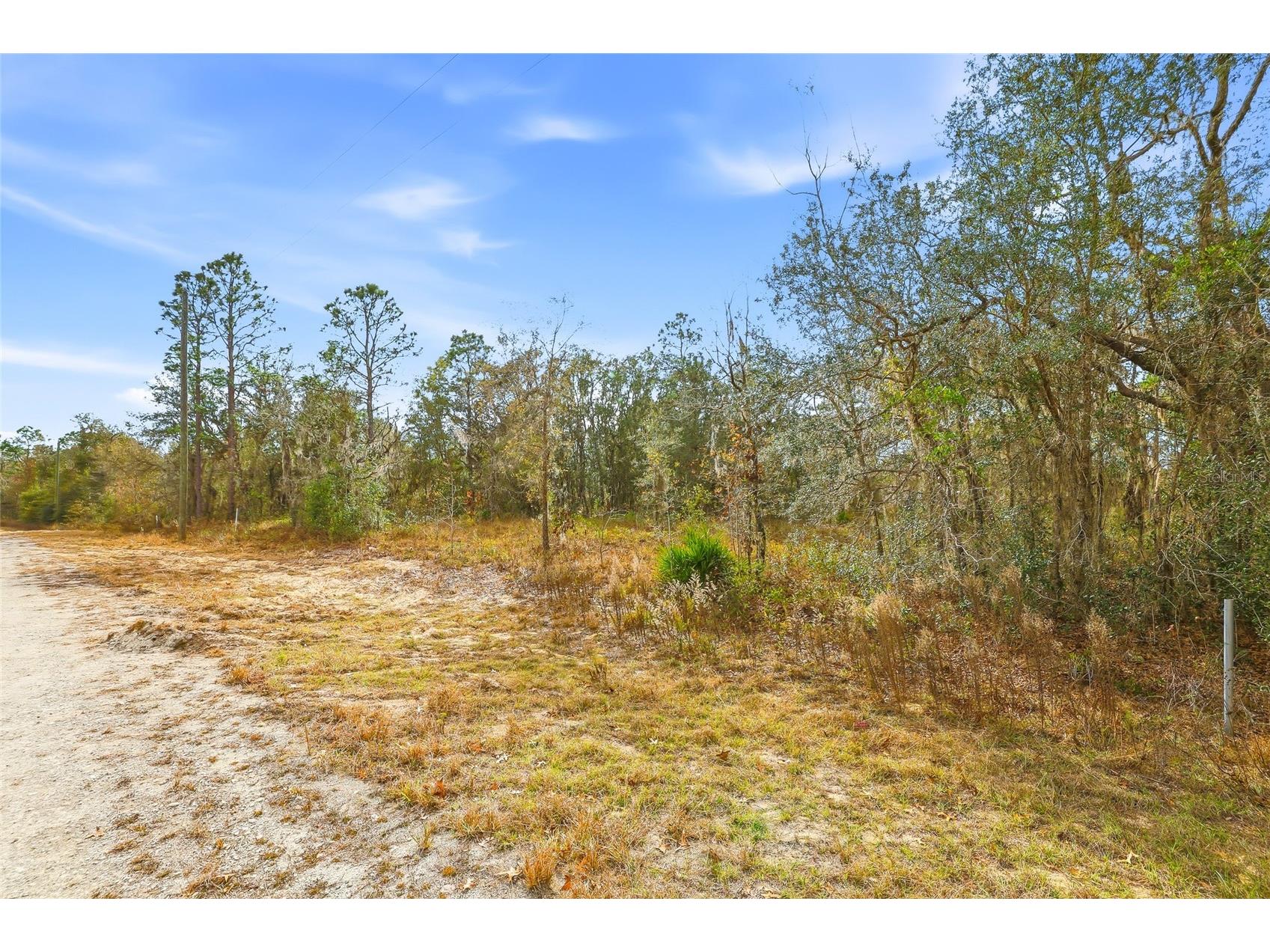 Cayman Road Weeki Wachee FL 34614 W7882949 image5