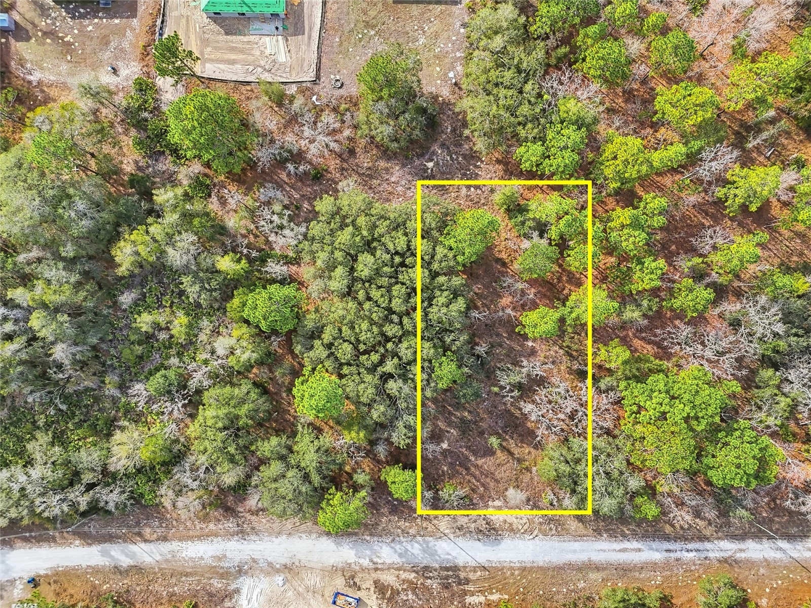 Cayman Road Weeki Wachee FL 34614 W7882949 image9