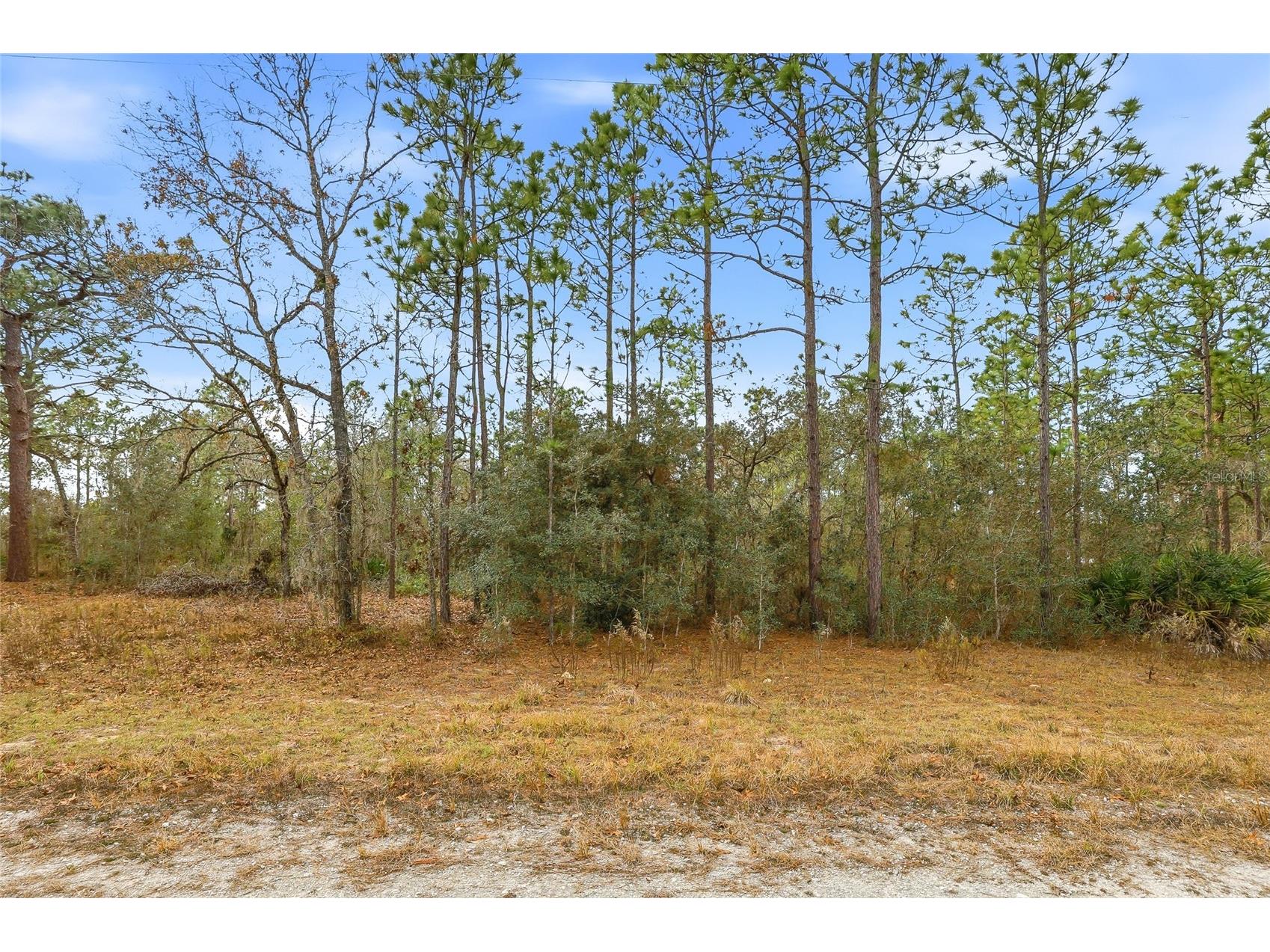 Cayman Road Weeki Wachee FL 34614 W7882955 image3