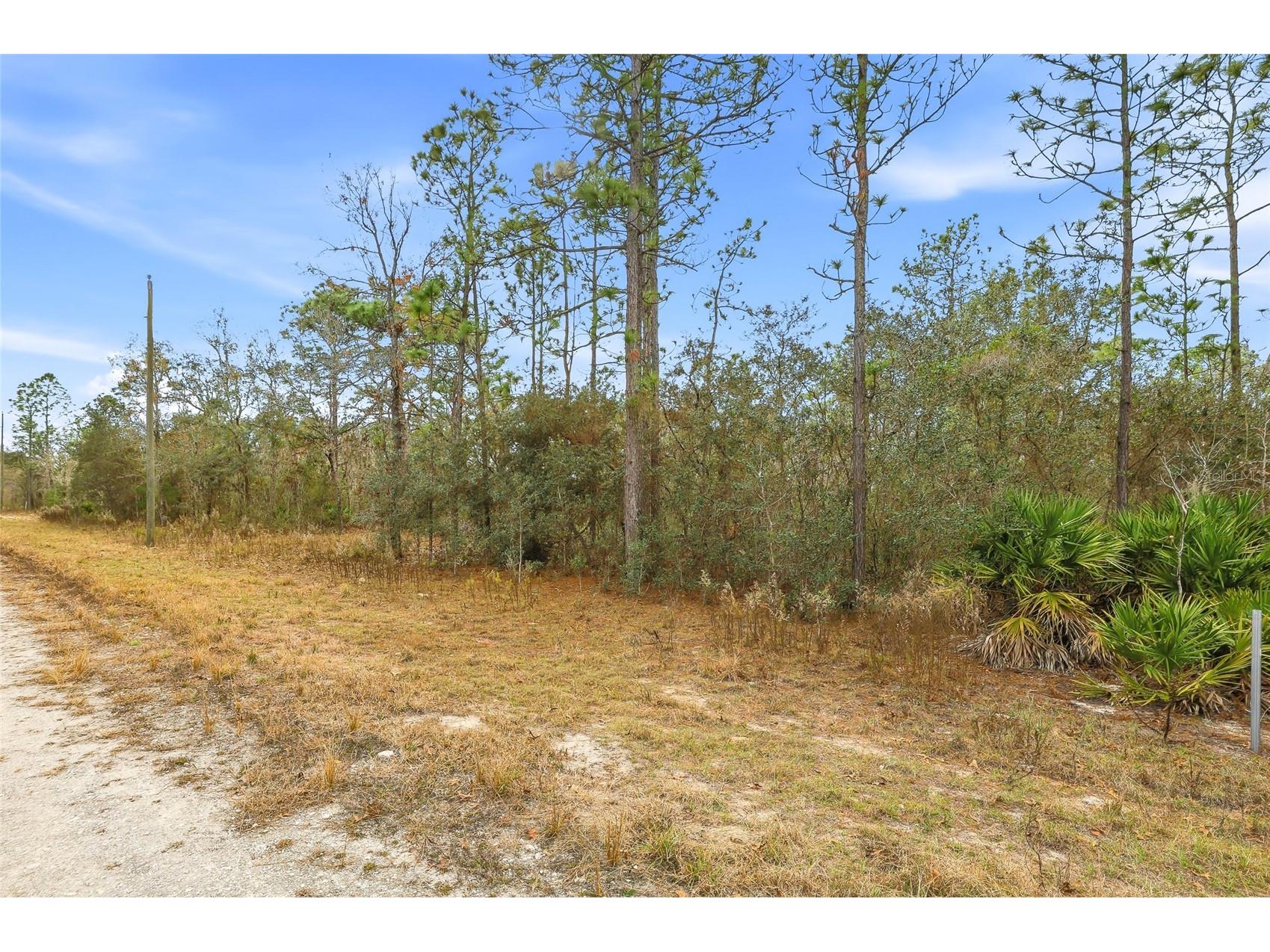 Cayman Road Weeki Wachee FL 34614 W7882955 image4