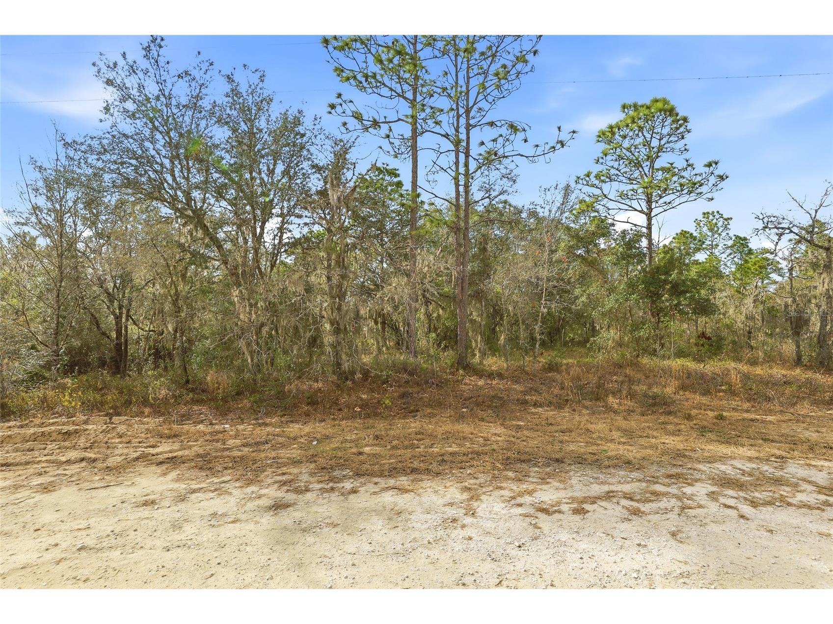 Cayman Road Weeki Wachee FL 34614 W7882957 image4