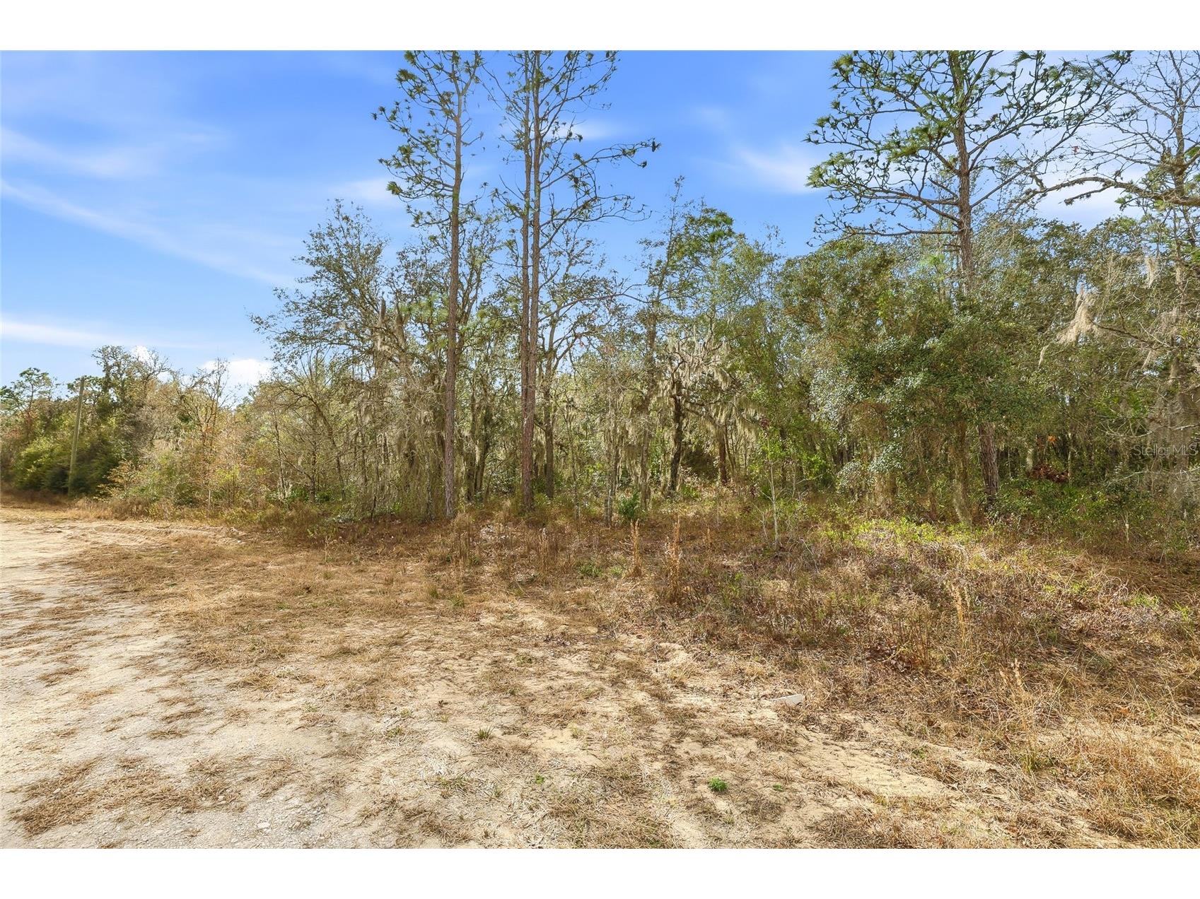 Cayman Road Weeki Wachee FL 34614 W7882957 image5