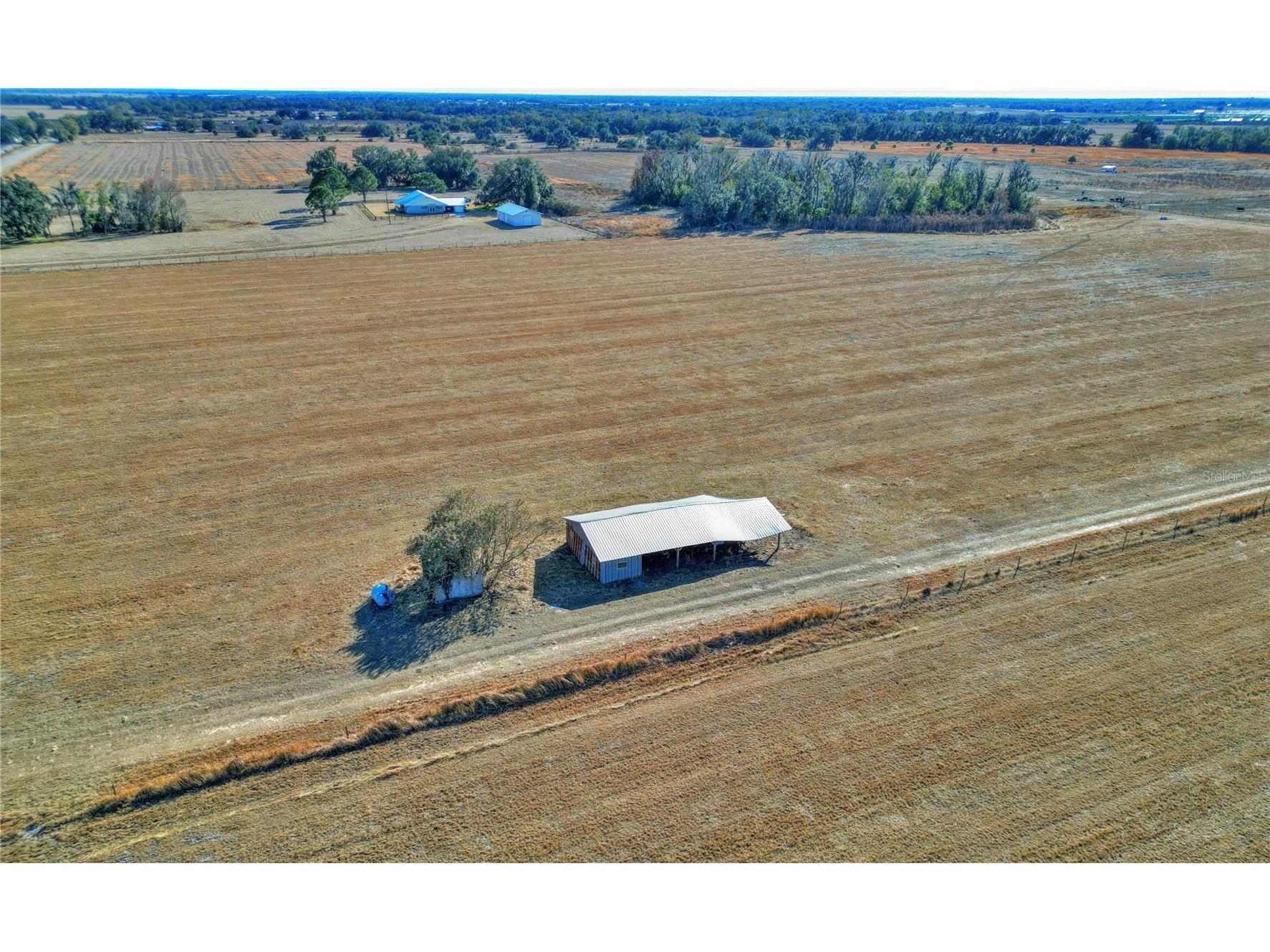 Cecil Durrance Road Zolfo Springs FL 33890 P4937895 image5