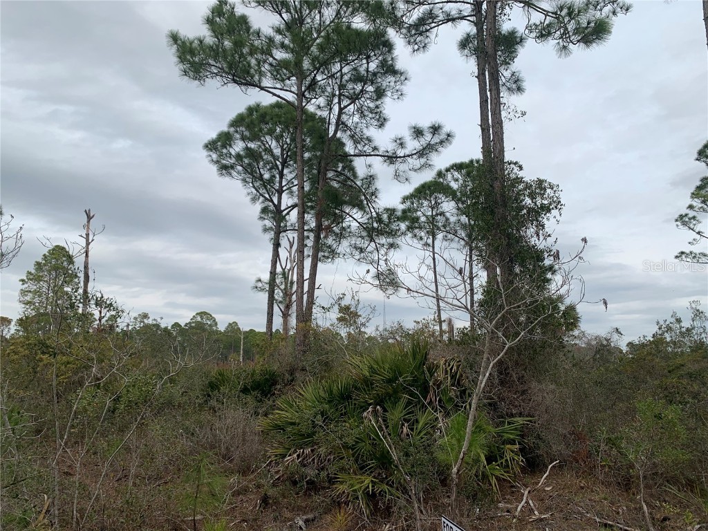  Cedar Key FL 32625 W7862729 image3