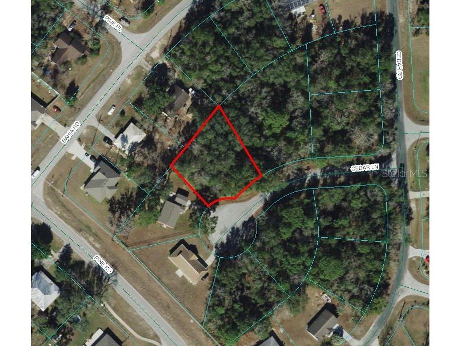 Cedar Lane Ocala FL 34472 OM672410 image1