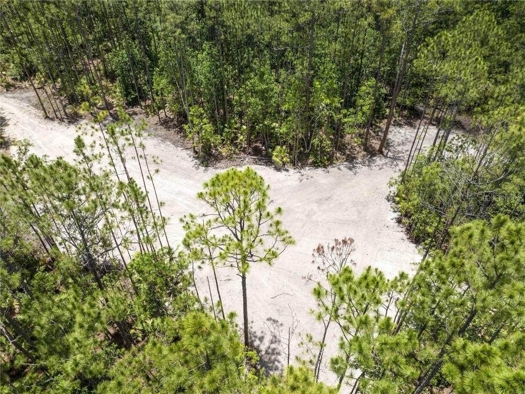 Cedar Road New Smyrna Beach FL 32168 NS1080080 image10