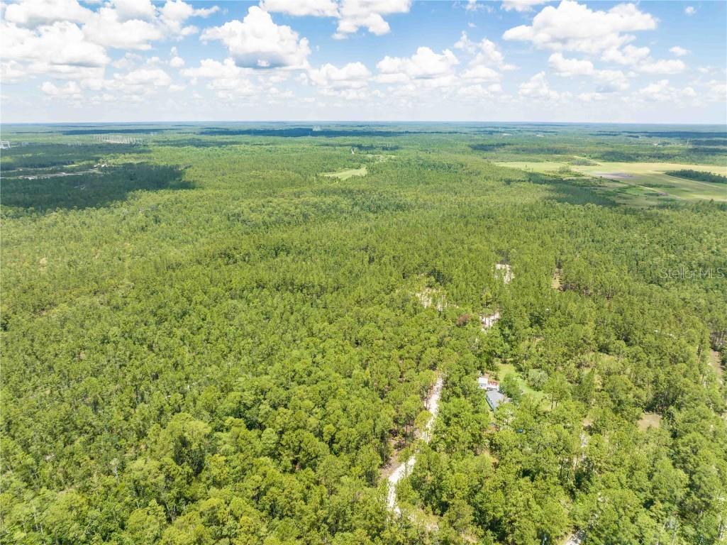 Cedar Road New Smyrna Beach FL 32168 NS1080080 image11