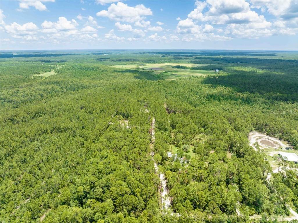 Cedar Road New Smyrna Beach FL 32168 NS1080080 image12