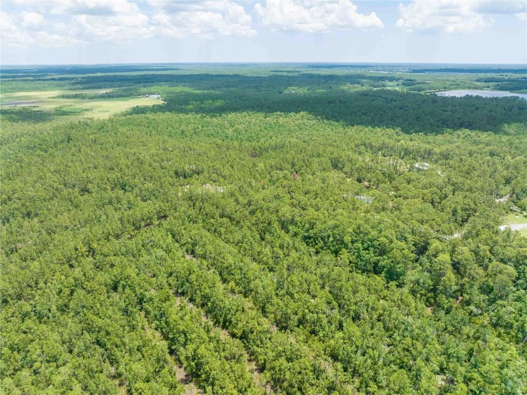 Cedar Road New Smyrna Beach FL 32168 NS1080080 image13