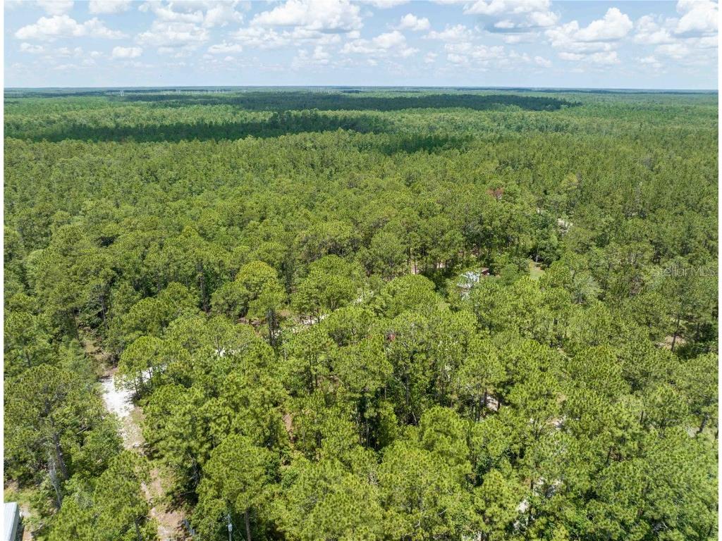 Cedar Road New Smyrna Beach FL 32168 NS1080080 image14