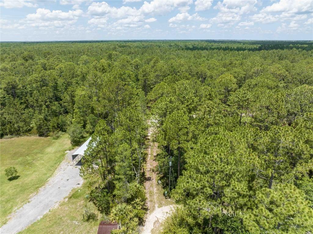 Cedar Road New Smyrna Beach FL 32168 NS1080080 image15