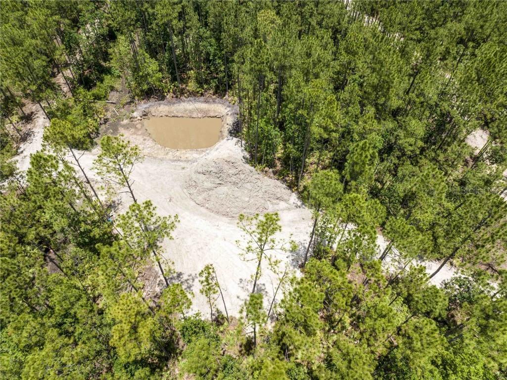 Cedar Road New Smyrna Beach FL 32168 NS1080080 image2