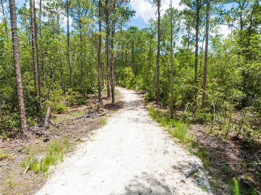 Cedar Road New Smyrna Beach FL 32168 NS1080080 image3