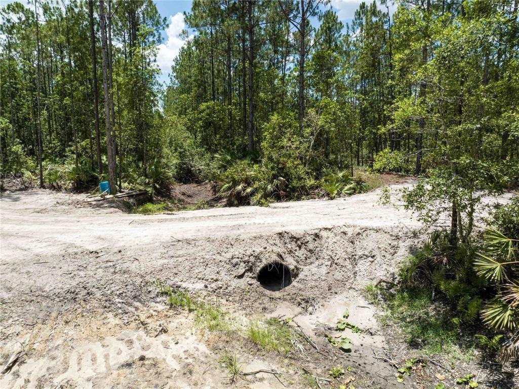 Cedar Road New Smyrna Beach FL 32168 NS1080080 image4