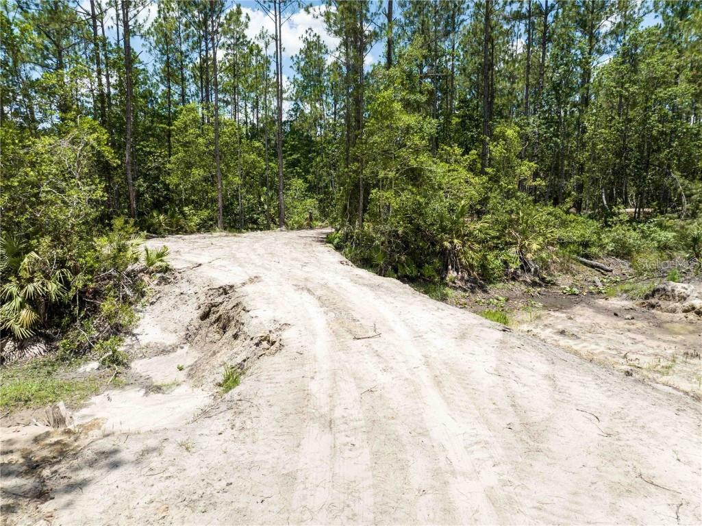 Cedar Road New Smyrna Beach FL 32168 NS1080080 image5