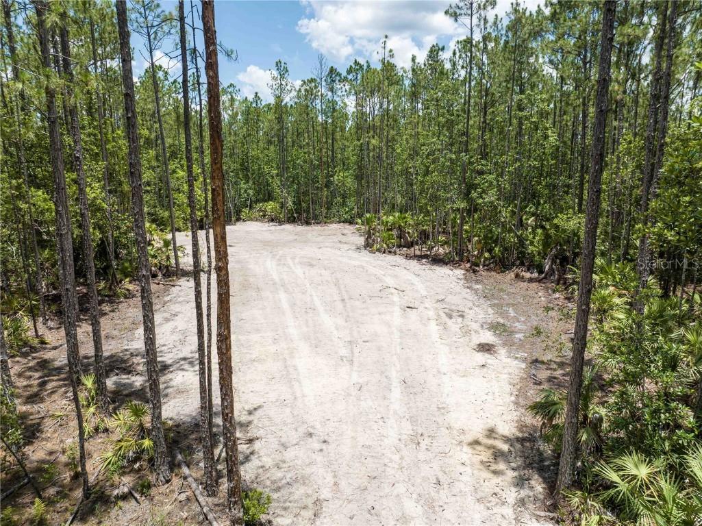 Cedar Road New Smyrna Beach FL 32168 NS1080080 image6