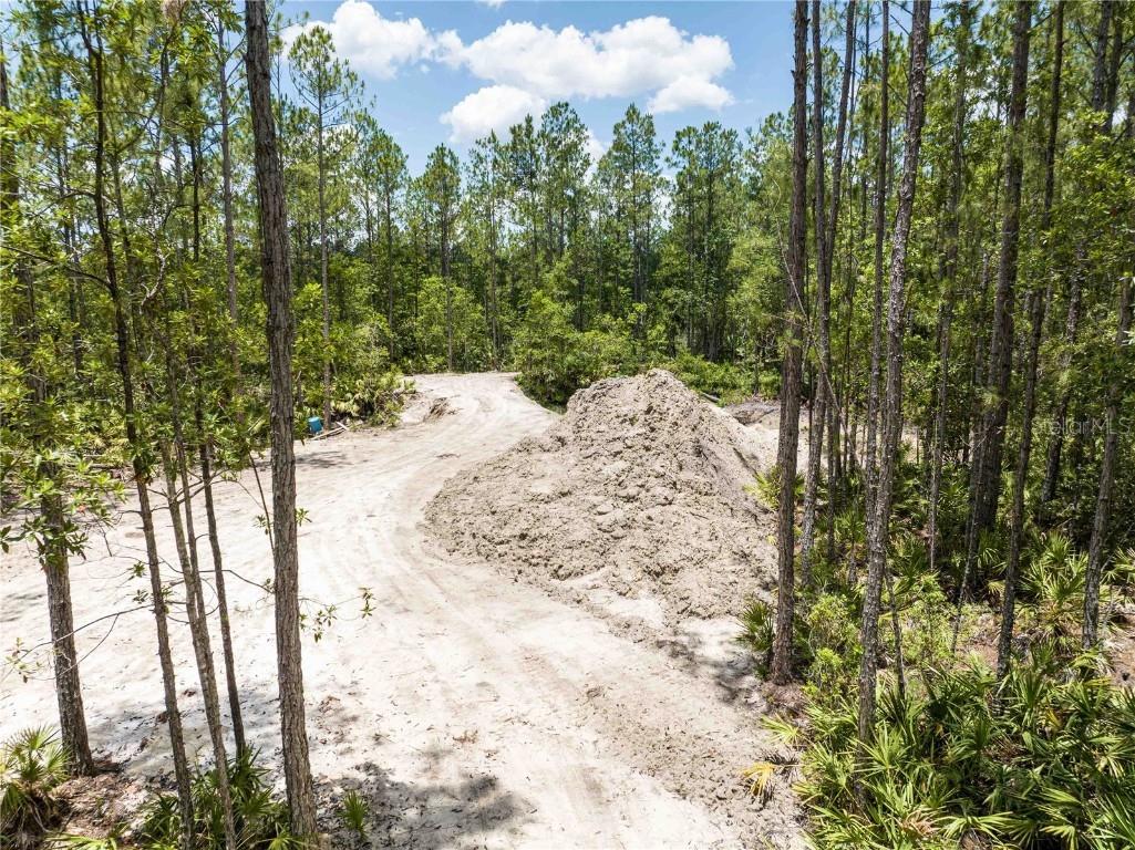 Cedar Road New Smyrna Beach FL 32168 NS1080080 image7