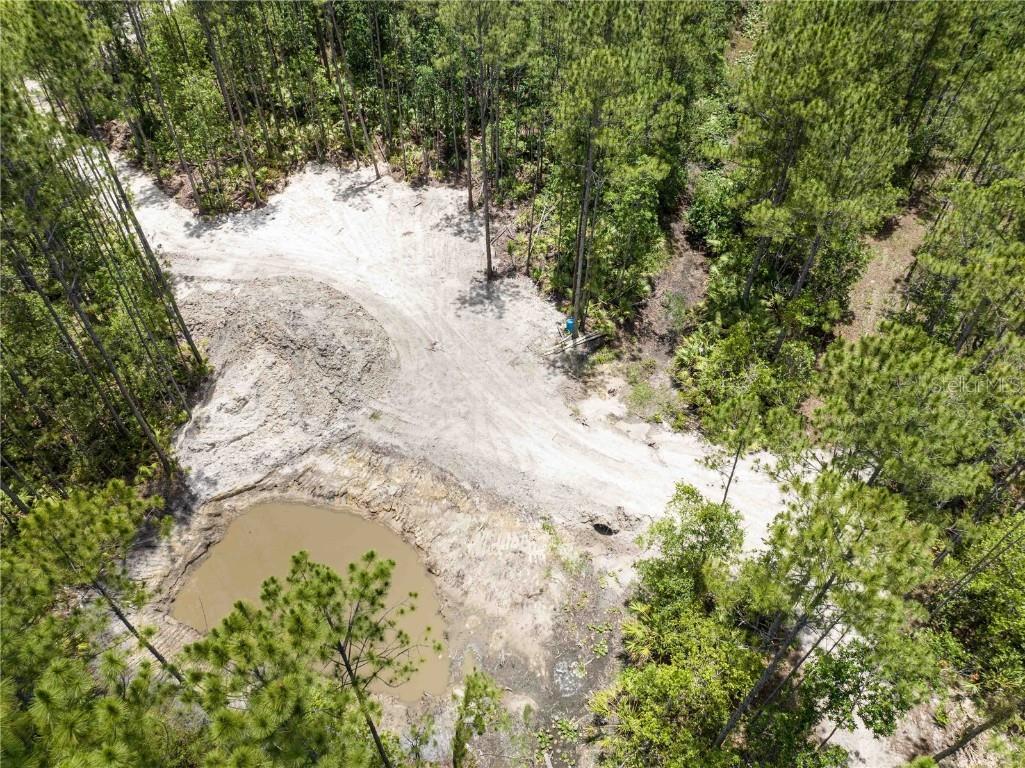 Cedar Road New Smyrna Beach FL 32168 NS1080080 image8