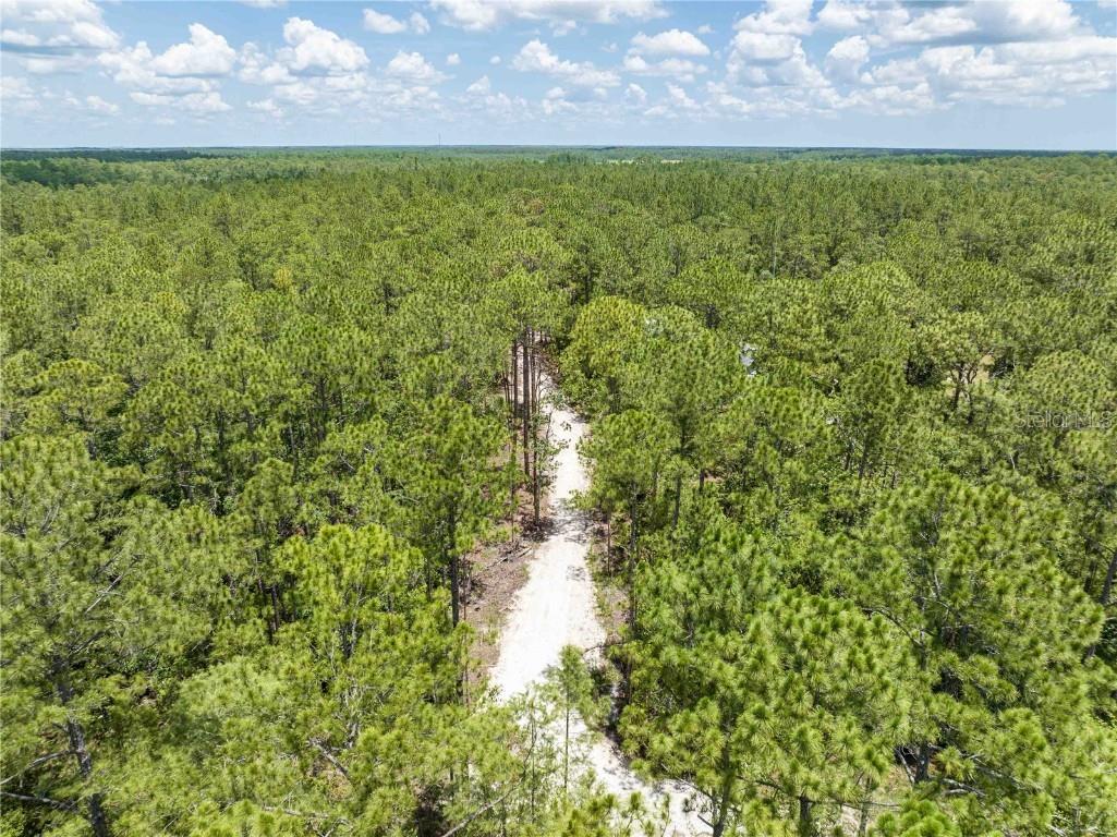 Cedar Road New Smyrna Beach FL 32168 NS1080080 image9