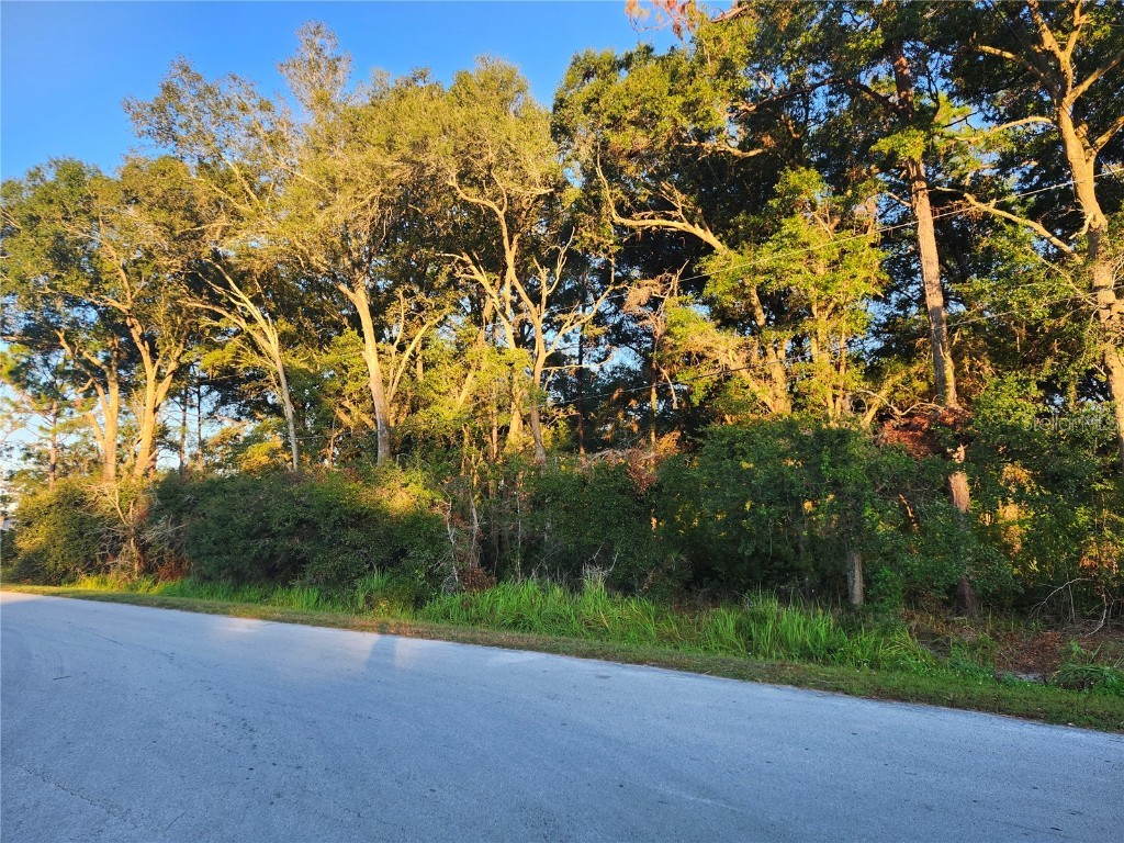 Cedar Trace Ocala FL 34472 OM711461 image1