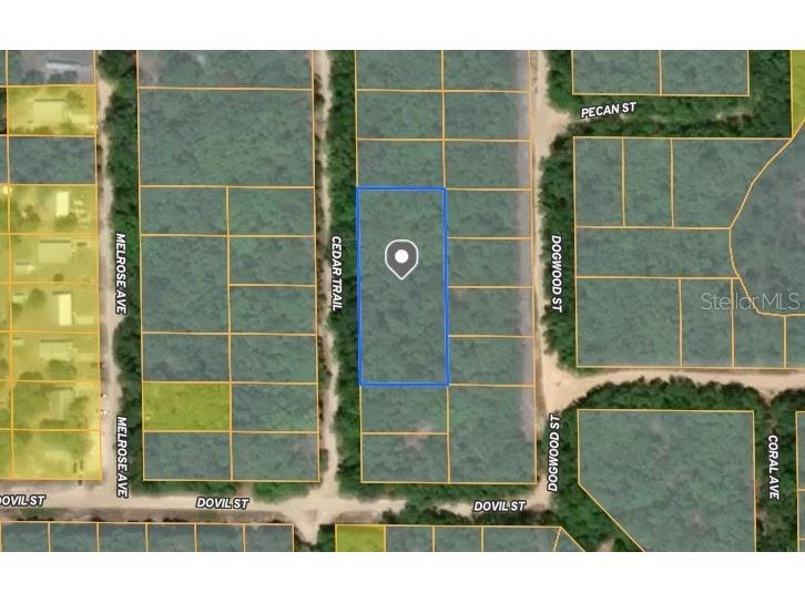 Cedar Trail Interlachen FL 32148 TB8390375 image1