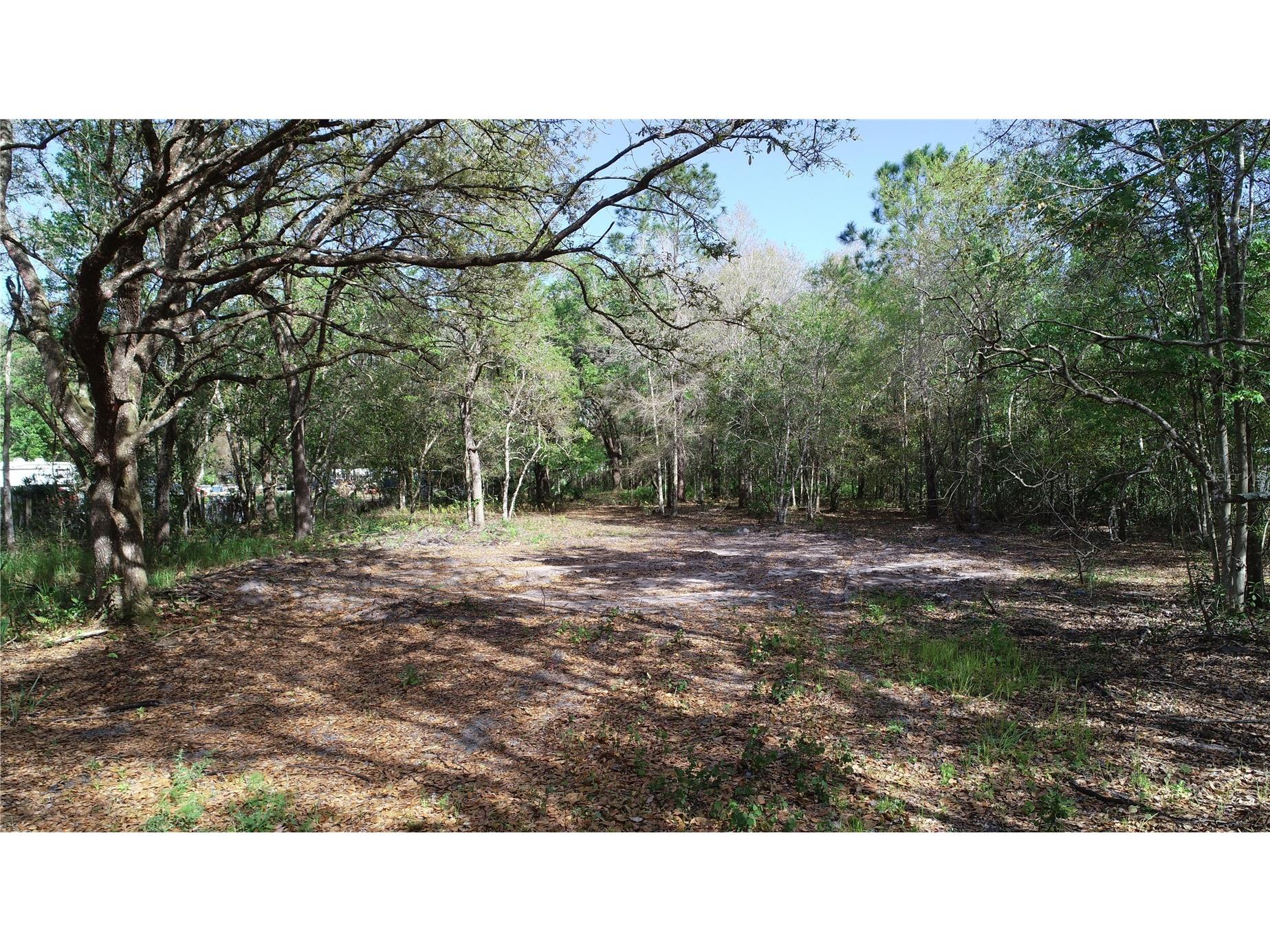 Cedarhurst Rd Orlando FL 32820 O6390748 image3