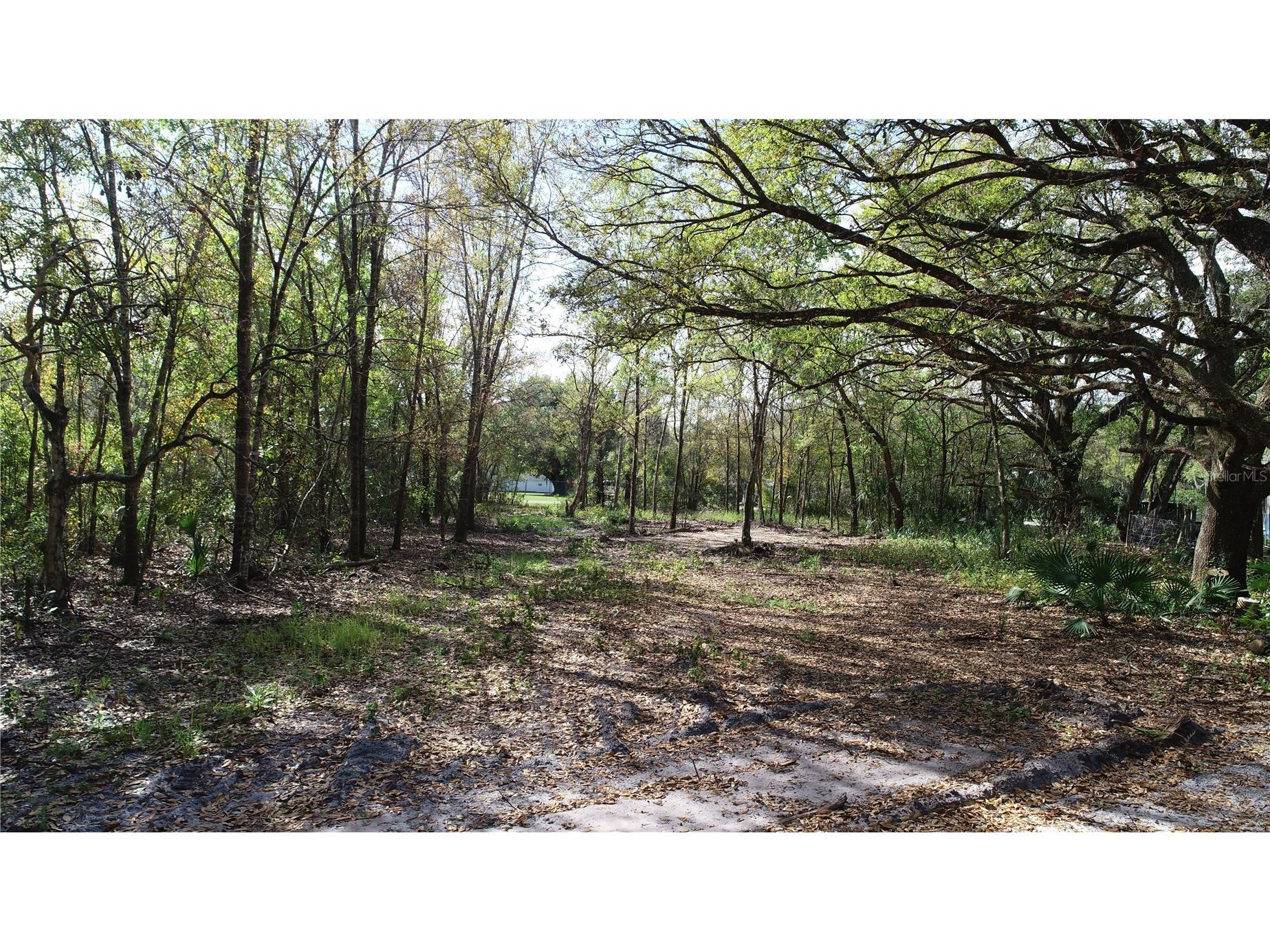 Cedarhurst Rd Orlando FL 32820 O6390748 image4