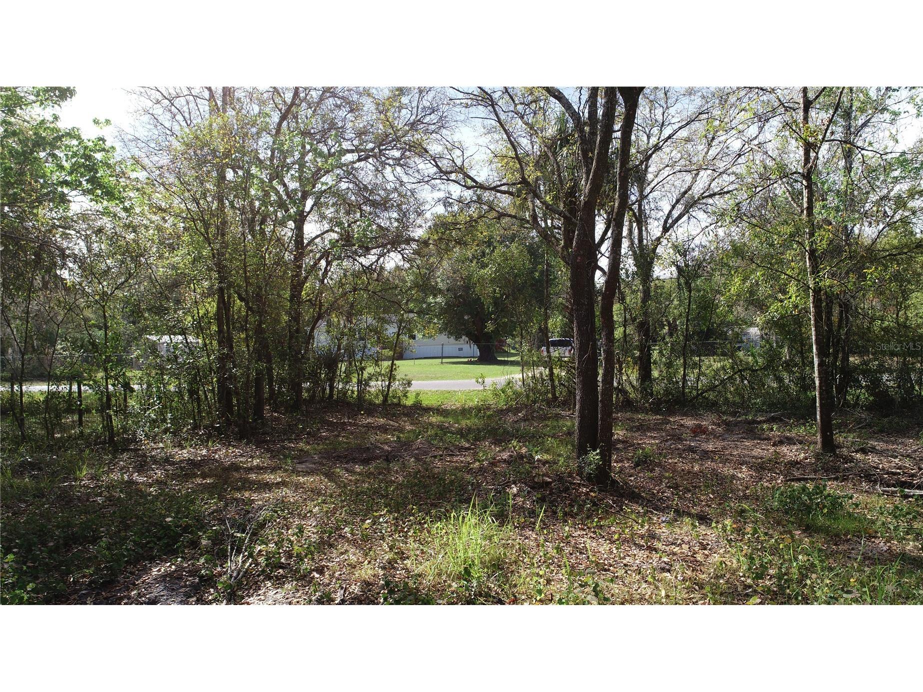 Cedarhurst Rd Orlando FL 32820 O6390748 image5