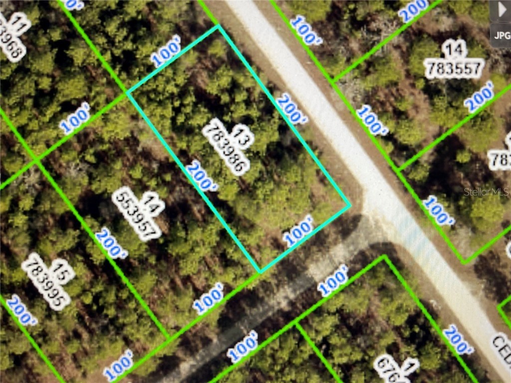 Cedarwood Avenue Weeki Wachee FL 34614 U8166742 image1