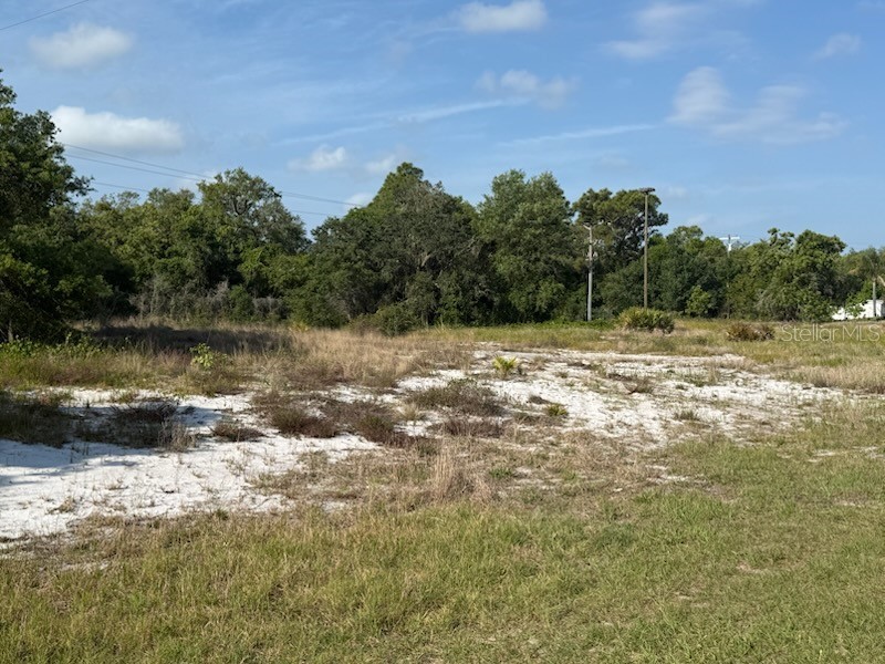 Cedarwood Drive Lake Wales FL 33898 S5148266 image1