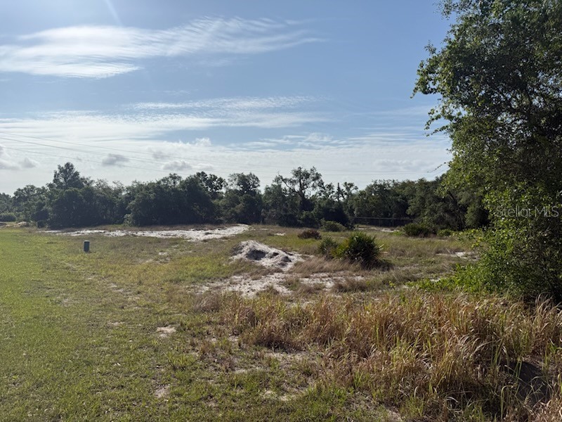 Cedarwood Drive Lake Wales FL 33898 S5148266 image2