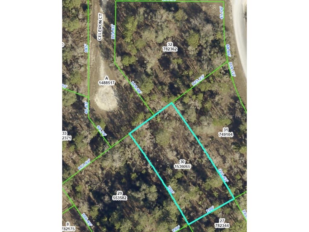 Celeron Court Weeki Wachee FL 34614 W7861010 image1