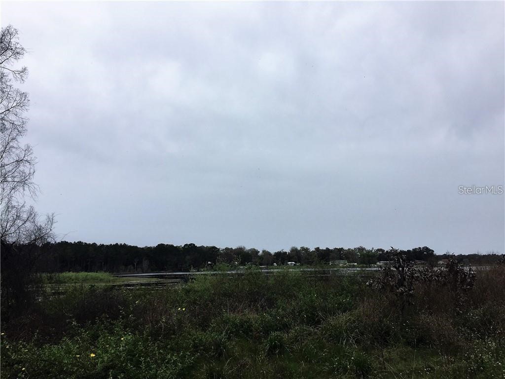 Cemetery Rd Seville FL 32190 - LOWER LAKE LOUISE V4936922 image1