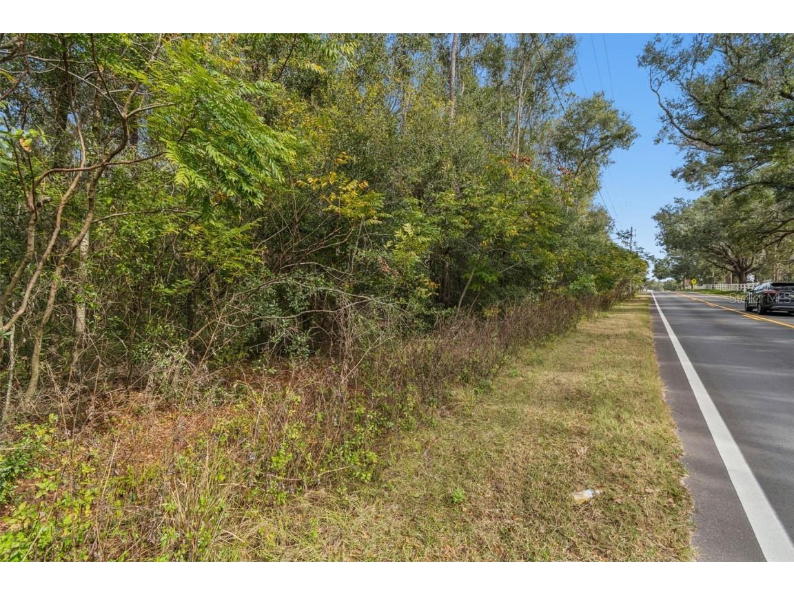 Centennial Road Dade City FL 33525 TB8461360 image18