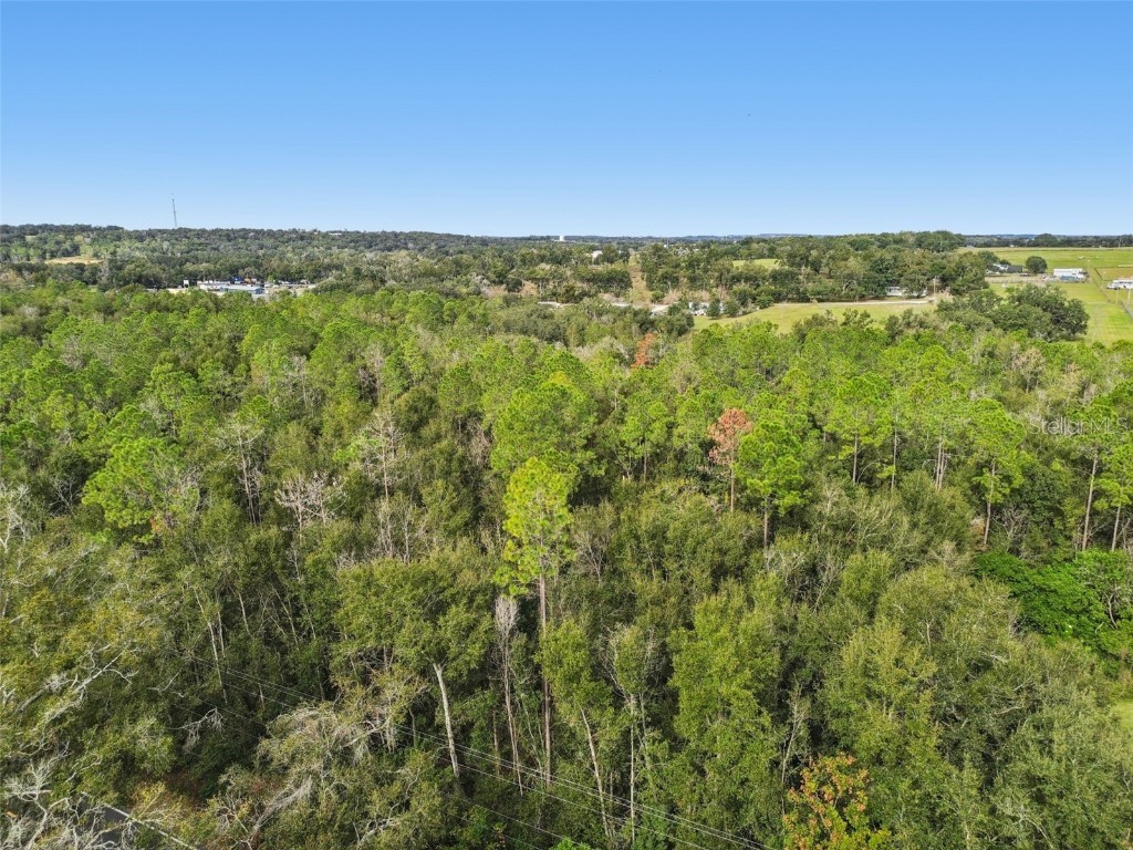 Centennial Road Dade City FL 33525 TB8461360 image4