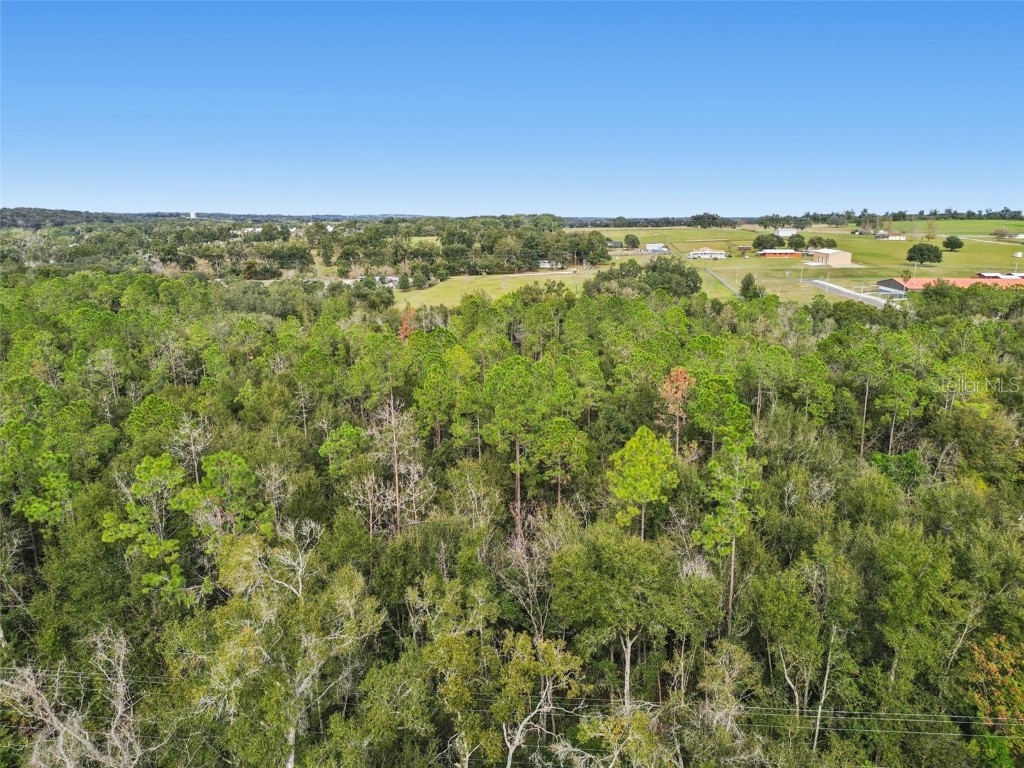 Centennial Road Dade City FL 33525 TB8461360 image5