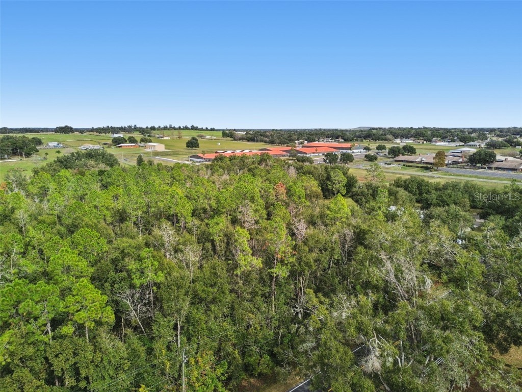 Centennial Road Dade City FL 33525 TB8461360 image6