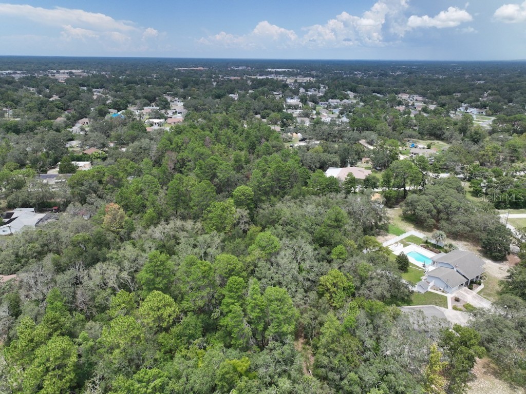 Centerwood Avenue Spring Hill FL 34606 TB8450965 image12