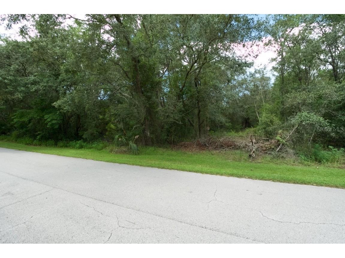 Centerwood Avenue Spring Hill FL 34606 TB8450965 image23