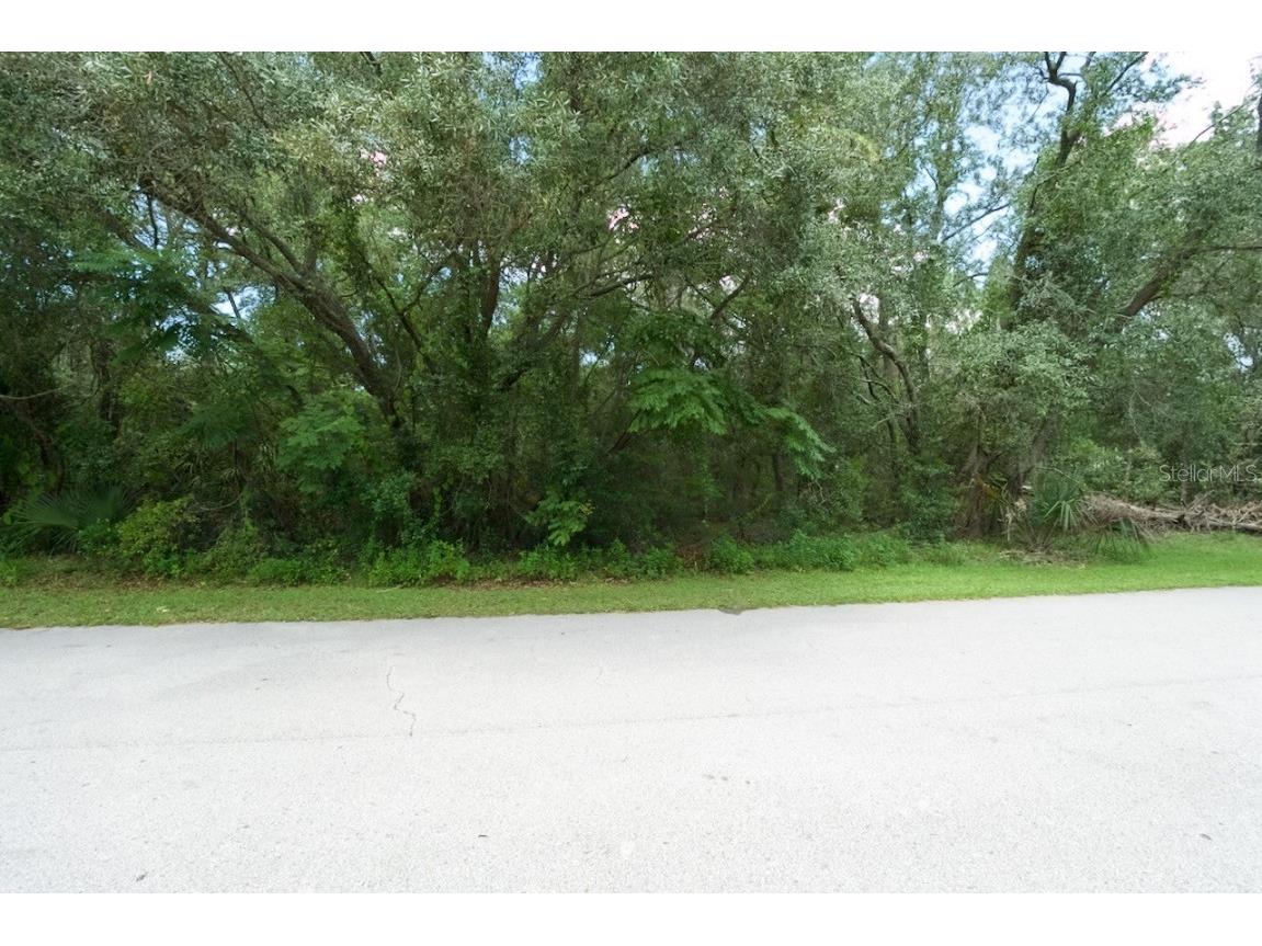 Centerwood Avenue Spring Hill FL 34606 TB8450965 image24