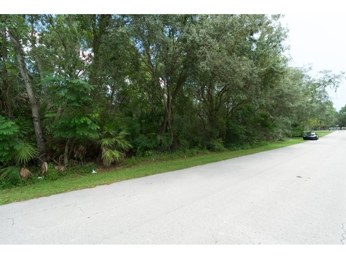 Centerwood Avenue Spring Hill FL 34606 TB8450965 image25