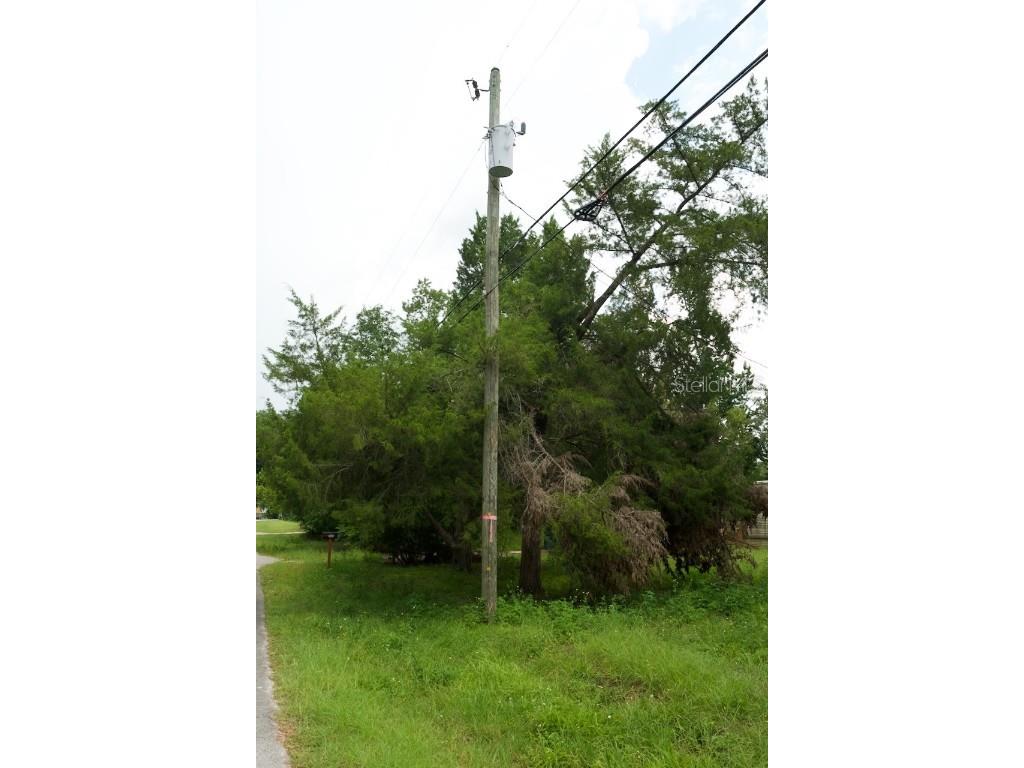 Centerwood Avenue Spring Hill FL 34606 TB8450965 image27