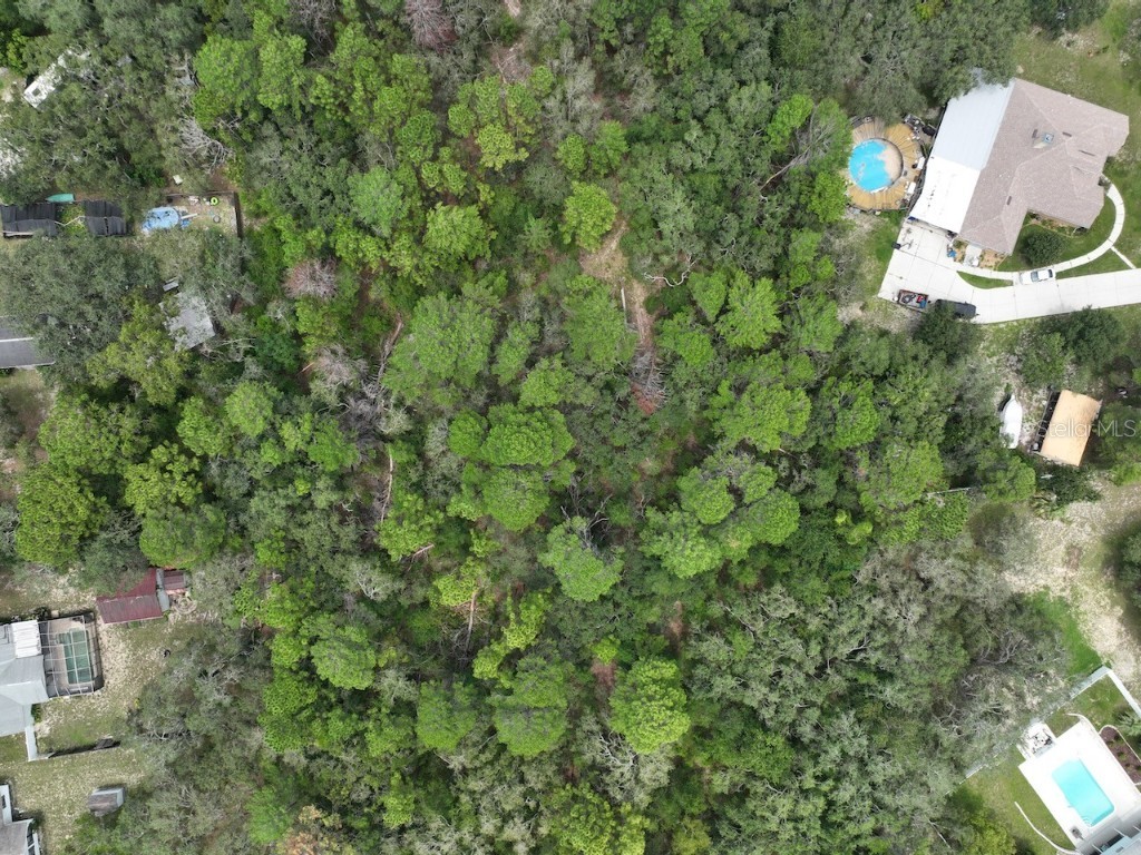 Centerwood Avenue Spring Hill FL 34606 TB8450965 image28